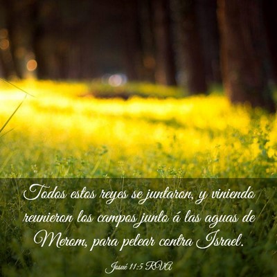Picture 03 - Josué 11:5 RVA - Todos estos reyes se juntaron, y viniendo - Bible Verse Picture
