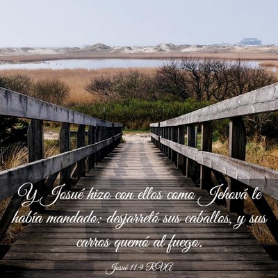 Picture 03 - Josué 11:9 RVA - Y Josué hizo con ellos como Jehová le había - Bible Verse Picture
