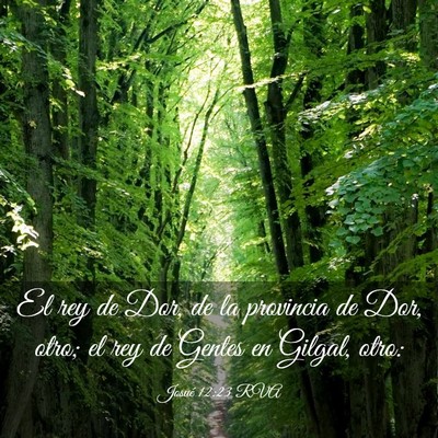 Picture 03 - Josué 12:23 RVA - El rey de Dor, de la provincia de Dor, otro; el - Bible Verse Picture