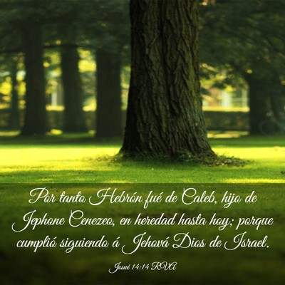 Picture 03 - Josué 14:14 RVA - Por tanto Hebrón fué de Caleb, hijo de Jephone - Bible Verse Picture