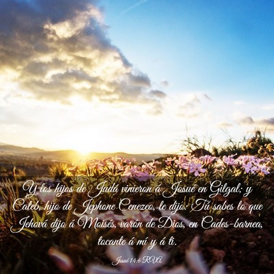 Picture 03 - Josué 14:6 RVA - Y los hijos de Judá vinieron á Josué en - Bible Verse Picture