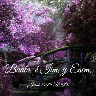 Picture 03 - Josué 15:29 RVA - Baala, é Iim, y - Bible Verse Picture