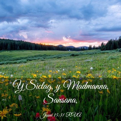 Picture 03 - Josué 15:31 RVA - Y Siclag, y Madmanna, - Bible Verse Picture