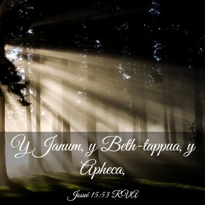 Picture 03 - Josué 15:53 RVA - Y Janum, y Beth-tappua, y - Bible Verse Picture