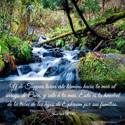 Picture 03 - Josué 16:8 RVA - Y de Tappua torna este término hacia la mar al - Bible Verse Picture