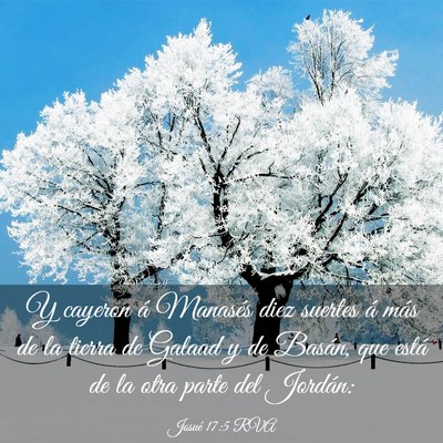 Picture 03 - Josué 17:5 RVA - Y cayeron á Manasés diez suertes á más de la - Bible Verse Picture