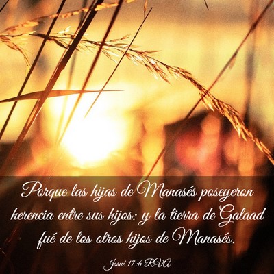 Picture 03 - Josué 17:6 RVA - Porque las hijas de Manasés poseyeron herencia - Bible Verse Picture