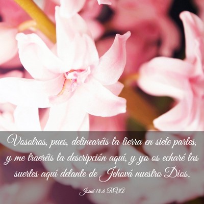 Picture 03 - Josué 18:6 RVA - Vosotros, pues, delinearéis la tierra en siete - Bible Verse Picture