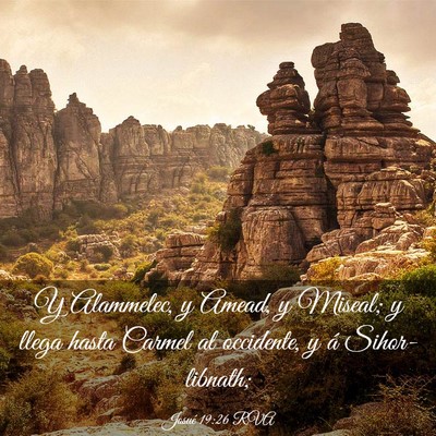 Picture 03 - Josué 19:26 RVA - Y Alammelec, y Amead, y Miseal; y llega hasta - Bible Verse Picture