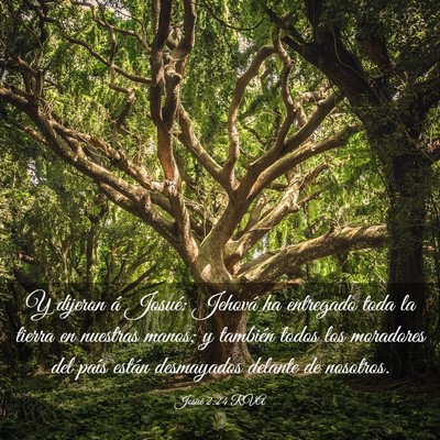 Picture 03 - Josué 2:24 RVA - Y dijeron á Josué: Jehová ha entregado toda la - Bible Verse Picture