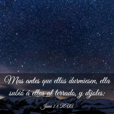 Picture 03 - Josué 2:8 RVA - Mas antes que ellos durmiesen, ella subió á - Bible Verse Picture
