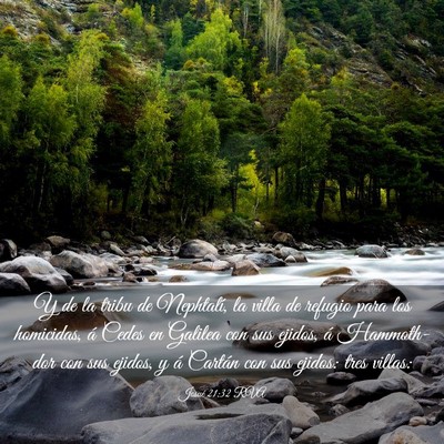 Picture 03 - Josué 21:32 RVA - Y de la tribu de Nephtalí, la villa de refugio - Bible Verse Picture
