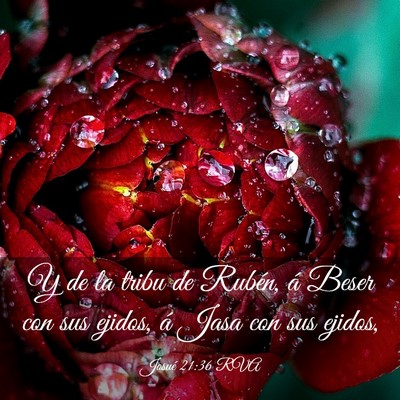 Picture 03 - Josué 21:36 RVA - Y de la tribu de Rubén, á Beser con sus ejidos, - Bible Verse Picture