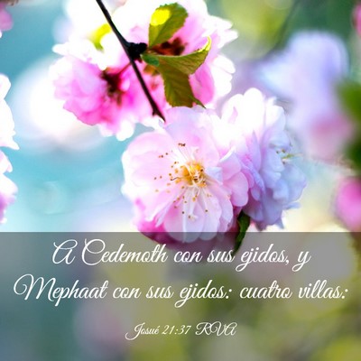 Picture 03 - Josué 21:37 RVA - A Cedemoth con sus ejidos, y Mephaat con sus - Bible Verse Picture