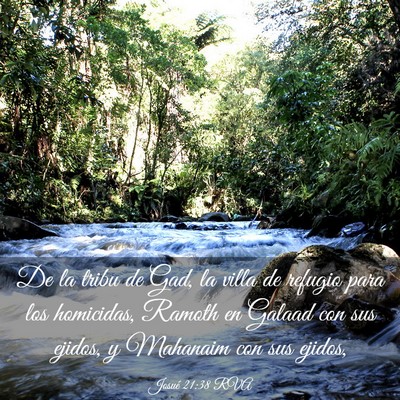 Picture 03 - Josué 21:38 RVA - De la tribu de Gad, la villa de refugio para los - Bible Verse Picture