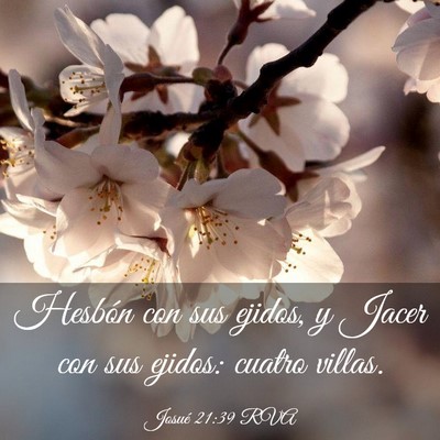 Picture 03 - Josué 21:39 RVA - Hesbón con sus ejidos, y Jacer con sus ejidos: - Bible Verse Picture
