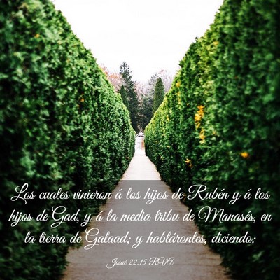 Picture 03 - Josué 22:15 RVA - Los cuales vinieron á los hijos de Rubén y á - Bible Verse Picture