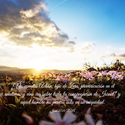 Picture 03 - Josué 22:20 RVA - ¿No cometió Achân, hijo de Zera, - Bible Verse Picture