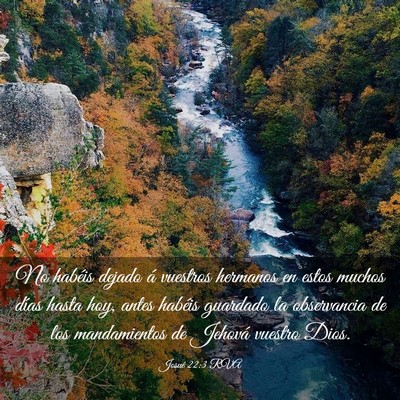 Picture 03 - Josué 22:3 RVA - No habéis dejado á vuestros hermanos en estos - Bible Verse Picture
