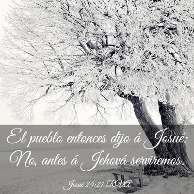 Picture 03 - Josué 24:21 RVA - El pueblo entonces dijo á Josué: No, antes á - Bible Verse Picture