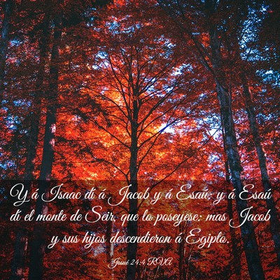 Picture 03 - Josué 24:4 RVA - Y á Isaac dí á Jacob y á Esaú: y á Esaú - Bible Verse Picture