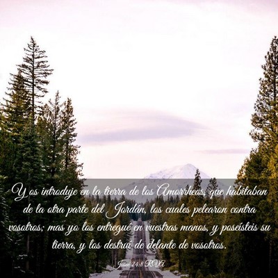 Picture 03 - Josué 24:8 RVA - Y os introduje en la tierra de los Amorrheos, que - Bible Verse Picture