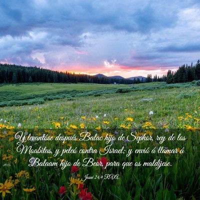 Picture 03 - Josué 24:9 RVA - Y levantóse después Balac hijo de Sephor, rey - Bible Verse Picture