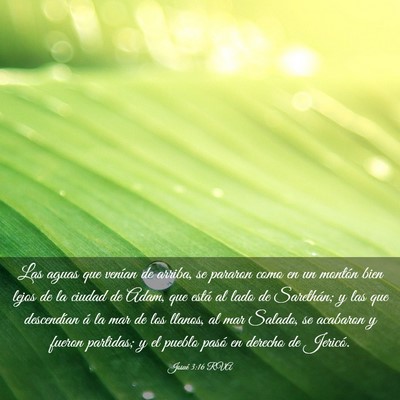 Picture 03 - Josué 3:16 RVA - Las aguas que venían de arriba, se pararon como - Bible Verse Picture