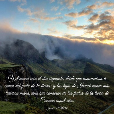 Picture 03 - Josué 5:12 RVA - Y el maná cesó el día siguiente, desde que - Bible Verse Picture