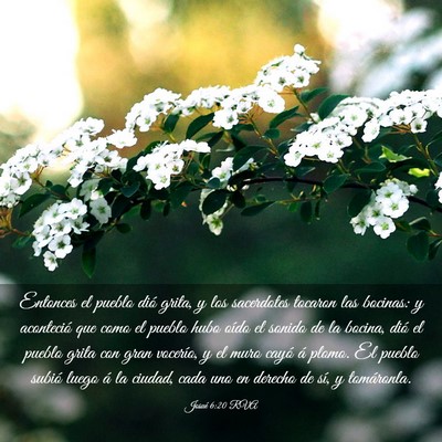 Picture 03 - Josué 6:20 RVA - Entonces el pueblo dió grita, y los sacerdotes - Bible Verse Picture