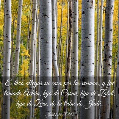 Picture 03 - Josué 7:18 RVA - E hizo allegar su casa por los varones, y fué - Bible Verse Picture