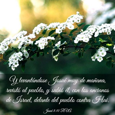Picture 03 - Josué 8:10 RVA - Y levantándose Josué muy de mañana, revistó - Bible Verse Picture