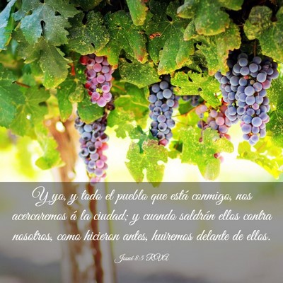 Picture 03 - Josué 8:5 RVA - Y yo, y todo el pueblo que está conmigo, nos - Bible Verse Picture