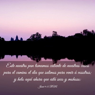 Picture 03 - Josué 9:12 RVA - Este nuestro pan tomamos caliente de nuestras - Bible Verse Picture