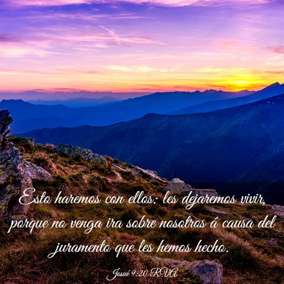 Picture 03 - Josué 9:20 RVA - Esto haremos con ellos: les dejaremos vivir, - Bible Verse Picture