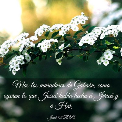 Picture 03 - Josué 9:3 RVA - Mas los moradores de Gabaón, como oyeron lo que - Bible Verse Picture