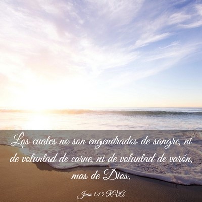 Picture 03 - Juan 1:13 RVA - Los cuales no son engendrados de sangre, ni de - Bible Verse Picture
