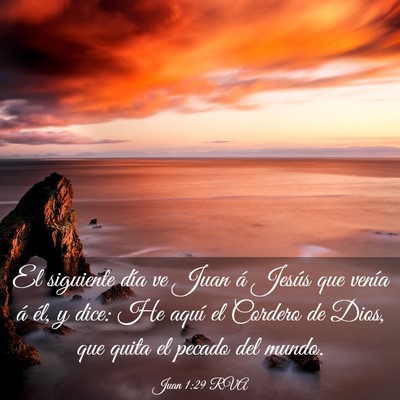 Picture 03 - Juan 1:29 RVA - El siguiente día ve Juan á Jesús que venía á - Bible Verse Picture