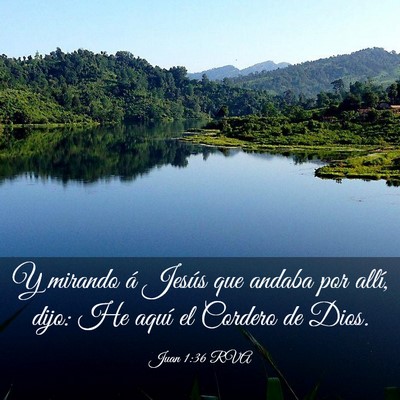 Picture 03 - Juan 1:36 RVA - Y mirando á Jesús que andaba por allí, dijo: - Bible Verse Picture