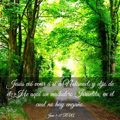 Picture 03 - Juan 1:47 RVA - Jesús vió venir á sí á Natanael, y dijo de - Bible Verse Picture