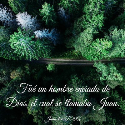 Picture 03 - Juan 1:6 RVA - Fué un hombre enviado de Dios, el cual se - Bible Verse Picture