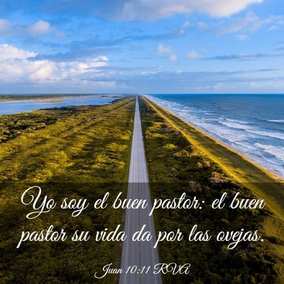 Picture 03 - Juan 10:11 RVA - Yo soy el buen pastor: el buen pastor su vida da - Bible Verse Picture