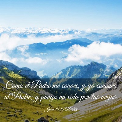 Picture 03 - Juan 10:15 RVA - Como el Padre me conoce, y yo conozco al Padre; y - Bible Verse Picture