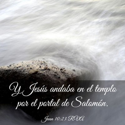 Picture 03 - Juan 10:23 RVA - Y Jesús andaba en el templo por el portal de - Bible Verse Picture