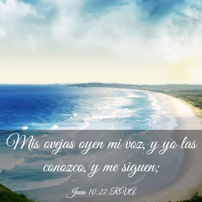 Picture 03 - Juan 10:27 RVA - Mis ovejas oyen mi voz, y yo las conozco, y me - Bible Verse Picture