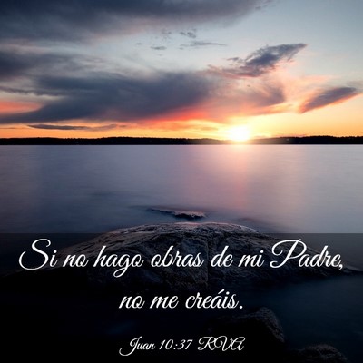 Picture 03 - Juan 10:37 RVA - Si no hago obras de mi Padre, no me - Bible Verse Picture
