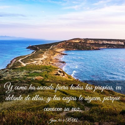 Picture 03 - Juan 10:4 RVA - Y como ha sacado fuera todas las propias, va - Bible Verse Picture