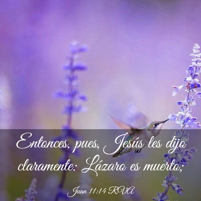 Picture 03 - Juan 11:14 RVA - Entonces, pues, Jesús les dijo claramente: - Bible Verse Picture