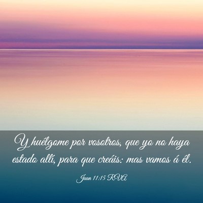 Picture 03 - Juan 11:15 RVA - Y huélgome por vosotros, que yo no haya estado - Bible Verse Picture