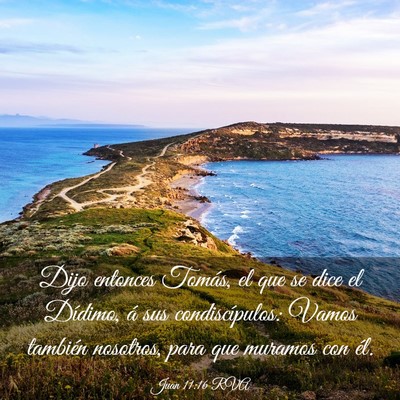 Picture 03 - Juan 11:16 RVA - Dijo entonces Tomás, el que se dice el Dídimo, - Bible Verse Picture